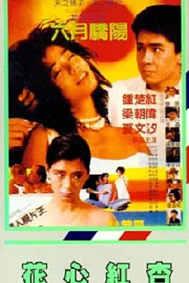 杜比视界