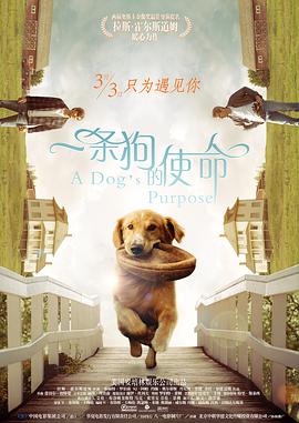 正片