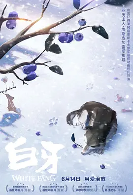 DVD无删减90分钟观看