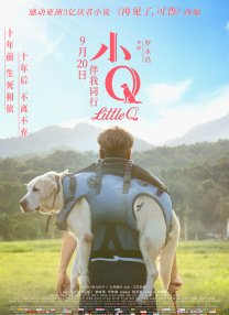 BD高清免费观看
